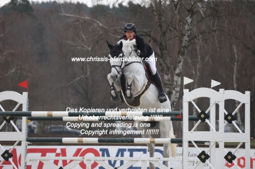 Preview harm lahde mit grey chester IMG_0701.jpg
